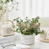 Ceramic Plant Pot Indoor, 4.5 Inch Flower Pot with Drainage Hole, Small Bubble Design Ceramic Planter for Home & Office Decor (White)...