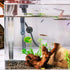 Saim Aquarium Suction Cup Clips Soft Fish Tank Suction Cup Clip Sucker Fish Tank Suction Cup Holder Black 28mm Dia 8 Pcs...