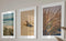 Sandy Beach Landscape Set of 3 Unframed Wall Prints, Coastal Sea Shell Ocean Waves Beach Path Wooden Bridge Reeds Posters, Bathroom Living Room Be...