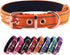 Neoprene Padded Dog Collar,Nylon Dog Collar for Small Medium Large Dogs,Heavy Duty Dog Collar with Metal Buckle,Adjustable Reflective Dog Collar (...