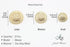 Weave Gold Metal Shank Buttons - 12 Pcs - 3 Size Options - Luxury Weave Metal Shank Buttons for Men Women Blazer Coat Uniform Shirt Suit and Jacke...