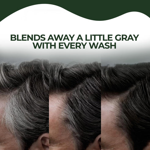 Black Hair Dye Shampoo & Conditioner, Natural Hair Dye Shampoo 3 in 1, 100% Gray Hair Coverage, Hair Color for Men & Women, 13.5 FL OZ (400 ML)...