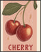 Posterizer 1 pcs-playful graphic Cherry poster-Retro style design 2-Kitchen & Bar Art- Art for Cafe, Restaurant, Coffee Bar - unframed wall art...