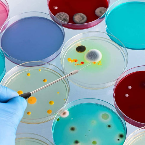 23cm Inoculation Loop Inoculation Rod Lightweight Coating Inoculation Rod Set Mycology Reusable Inoculation Loop Kit for Laboratory Lab...