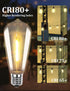 SUNSGNE 25Pack LED Edison Light Bulbs, 0.6 Watt Shatterproof Dimmable Replacement Bulbs ST40 E17 Clear Plastic LED Light Bulbs for Outdoor Patio S...