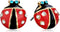 Betsey Johnson Red & Black Ladybug Stud Earrings...