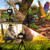 UBeesize Phone Tripod, Premium Flexible Phone Tripod with Remote and Phone Mount, Mini Tripod Stand for Camera, GoPro...