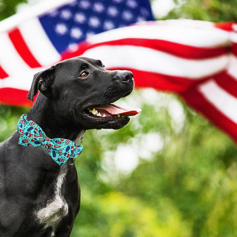Elegant little tail Independence Day Dog Collar, Holiday Pet Collar with Bow Dog Durable Patriotic Dog Collars Pet Gift Adjustable Dog Collar for ...