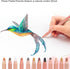 12PCS Skin Tone Pastel Pencils, 12 Set From Light to Dark, Perfect for Painting, Illustration, Tinting, Sketching, Portrait...
