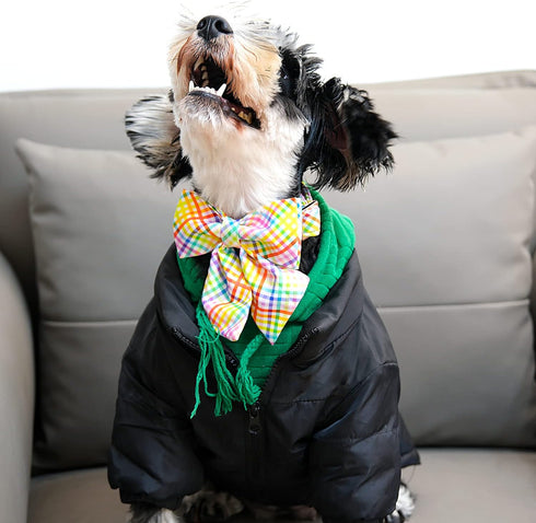 Lionet Paws Easter Day Dog Collar with Bowtie, Dog Sailor Bow Collar with Metal Buckle for Dogs and Cats, Adjustable Comfortable Dog Collar Girl G...
