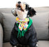 Lionet Paws Easter Day Dog Collar with Bowtie, Dog Sailor Bow Collar with Metal Buckle for Dogs and Cats, Adjustable Comfortable Dog Collar Girl G...