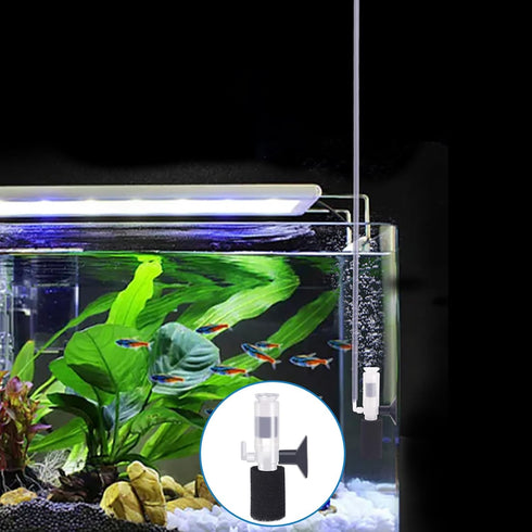 Portable Aquarium Filter, Internal Purifier Fish Tank Filter, Mini Aquarium Filter Air Driven Sponge Filter for Small Fish Tank 0.5-5 Gallon, Hous...