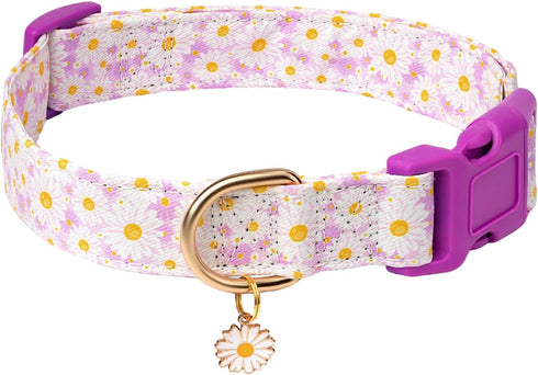 Dog Collars with Buckle Adjustable for Cute Girl Female Boy Dogs,Special Soft and Fancy Dog Pet Collar with Flower Design for Small Medium Large D...