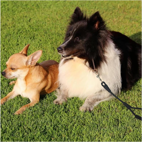 18 Inch Short Dog Leash + Traffic Pet Lead, Strong Nylon + Padded Handle + Well Made Clasp, Great for Medium and Large Dogs Training Walking (Blac...