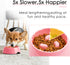 Super Design Slow Feeder Dog Bowl, 1 Cup, Nonslip, Heat-Resistant, Sturdy, Suitable for Small to Medium Sized Dogs...