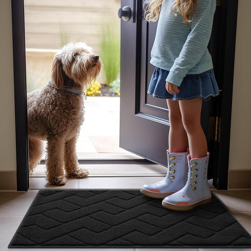 OLANLY Dog Door Mat for Muddy Paws 24x16, Absorbs Moisture and Dirt, Non-Slip Washable Mat, Quick Dry Microfiber, Mud Mat for Dogs, Entry Indoor D...