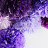 Purple Gold Baby Shower Decorations Qian's Party Purple and Gold Princess Birthday Party Decorations Purple Princess Baby Shower Confetti Purple &...