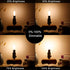 LiteHistory E12 led Bulb Dimmable 6W Equal 60 Watt LED Light Bulbs 2700K AC120V led Edison Bulb CA10 CA11 led Candelabra Bulb for Chandelier Light...