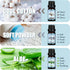 Clean Fragrance Oils Set, Premium Essential Oils for Diffuser for Home, Scented Oil for Soap & Candle Making Scents - Lemongrass, Aloe, Blossom So...