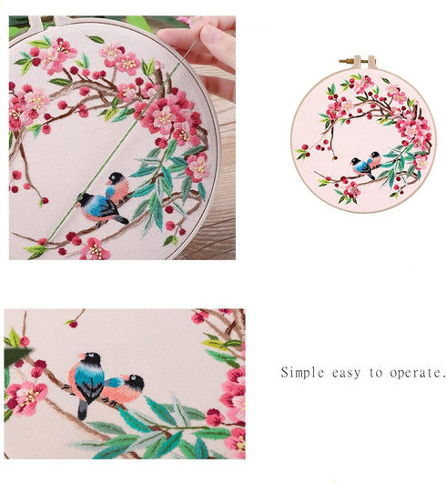 AISIBO Embroidery Kits, Embroidery Starter Kit with Birds Pattern and Instructions, Cross Stitch Set for Beginners, Embroidery Cloth with Pattern ...