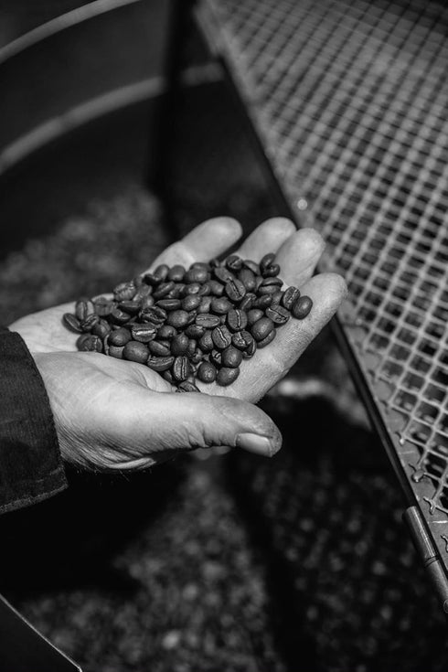 Bristot Espresso Cremoso Italiano Ground Coffee – Medium Roast, Rich & Smooth – 8.8oz (250g) Bag – Italian Ground Espresso for Home Machines...