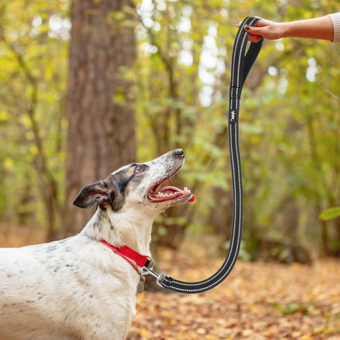 PUPTECK Reflective Short Dog Leash - 3 Packs 2.5ft/ 1.5ft/ 1ft Nylon Dog Leash with Strong Clip, and Soft Padded Handle, Durable Training Leash fo...