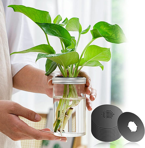 12PCS Kratky Lids Wide Mouth Hydroponic Cover Lids Kratky Mason Jar Lids Kratky Lid Insert Kratky Jar Cover Hydroponic Lids Kratky Hydroponics Sup...