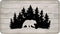 Bear Camping Door Mat - Bear Rug for Nursery, 30''x17'' Camper Rugs for Inside, RV Rugs for Inside, Cabin Rugs, Bear Rugs for Cabin...