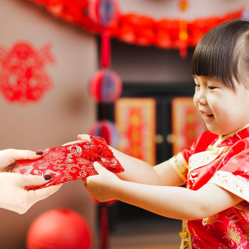 6pcs Silk Red Envelopes Chinese, Silk Hong Bao Chinese New Year Red Lucky Money Envelope with Traditional Patterns & Pendants Red Pocket for Sprin...