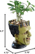 Funny Planter Youfui Head Planter with Drainage Hole Resin Plant Pot Pencil Holder Desk Storage (Frankstein)...