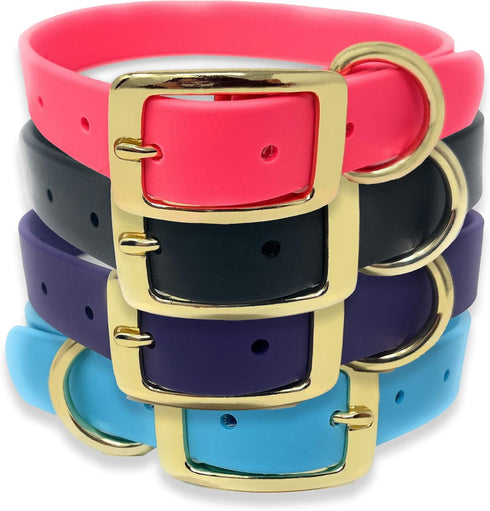 Regal Dog Products Small Light Blue Waterproof Dog Collar with Gold Buckle, Resilient and Durable Materials, Comfortable Design - for Small, Mediu...