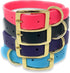 Regal Dog Products Small Light Blue Waterproof Dog Collar with Gold Buckle, Resilient and Durable Materials, Comfortable Design - for Small, Mediu...