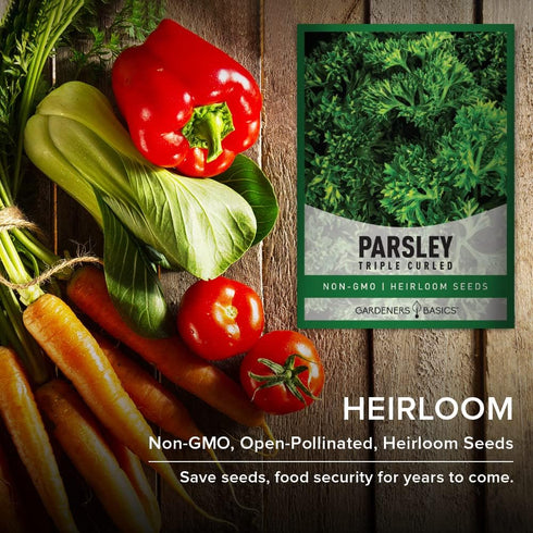 Gardeners Basics, Curled Parsley Seeds for Planting Indoors and Outdoors Heirloom, Open-Pollinated, Non-GMO Curly Herb Variety- Great for Home Gar...