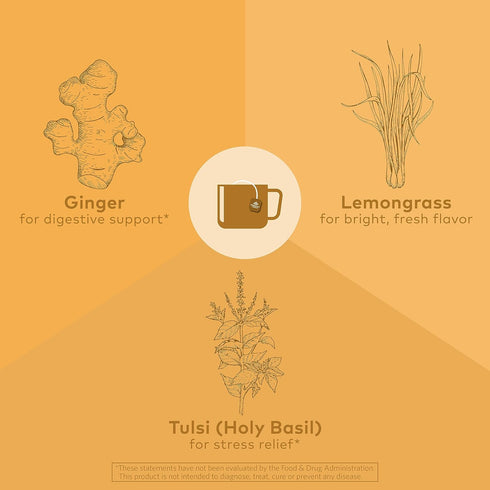 ORGANIC INDIA Tulsi Lemon Ginger Tea Bags - Herbal Tea, Stress Relieving & Reviving, Immune Support, Aids Digestion, Vegan, USDA Certified Organic...