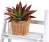 JUSTOYOU Large Artificial Succulents Aloe Plants Real Touch Fake Flowers Unpotted for Home Wedding Festival Arrangement (1, Green-Red)...