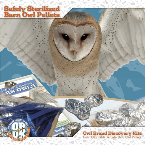 Barn Owl Pellet (Small 1.0-1.5") 1 Pack Kit for Science Teachers and Kids and Students includes Tools & Chart...