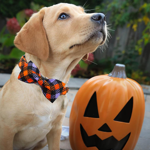 Halloween Dog Collar, Pet Collar Dog Bow Plaid Dog Collar Girl Boy Holiday Pet Dog Collar Gift Bow Dog Collar Cute Soft Puppy Collar for Large Dog...