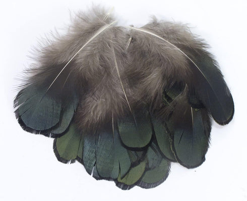 MAHAVIMOKSA 100pcs Natural Feather for DIY Craft Earring Wings Wedding Party Home Decoration (Green Lady Amherst Bronze Iridescent Plumage)...