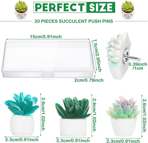 Push Pins Cute Decorative Push Pins Set for Cork Board Succulent Push Pins for Wall Fun Office Supplies Thumb Tacks Decorative Bulletin Board Maps...