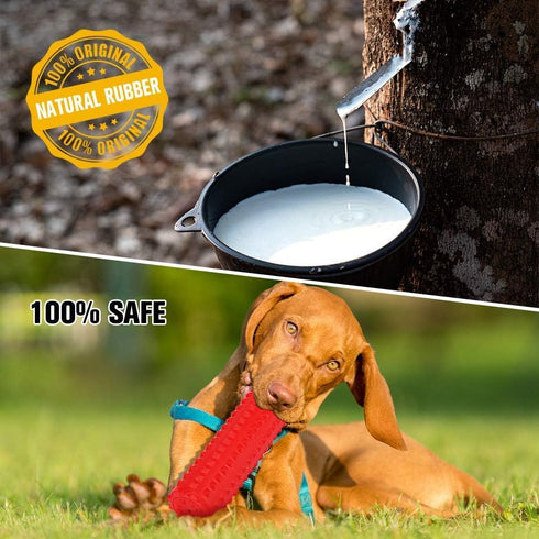 VANFINE Dog Toy, Squeaky, Tough, Durable Stick Chew Toy for Large Dogs, Puppies and Aggressive Chewers with Non-Toxic Natural Rubber (Medium/Large...