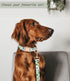 Dog Collar and Leash Set, Classic Dog Collar Soft Comfortable Adjustable Collars for Dogs...