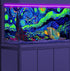 48X24IN Blacklight Vincent Van Gogh Black Light Aquarium Background, UV Fish Tank Background Art Star Oil Painting Terrarium Background with 10 EV...