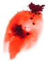 Red Radish Powder Dust | Natural & watersoluble food dye | 1.76oz/50g - Amazing in the kitchen or for cocktails! Changes color to orange, red, pur...
