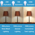 3-Way Light Bulbs 30 70 100 Watt Equivalent, Perfect for Reading, Standard A19 Indoor Led Bulb Warm White 3000K, 15 Watt Energy Efficient Bulb, 16...