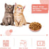 6-Pieces Whisker Fatigue Cat Bowl - 5.5 Inch Shallow Cat Food Dish Wide Cat Wet Feeding Bowls, PET Plate for Kittens and Short Legged Cat, Wheat S...