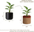 Jute Planter Basket-Woven Jute Rope Covers for Decorating Indoor/Outdoor Succulents, Small Plant Pots-Set of 4-Multi-Purpose Storage Bins 4.5 in -...