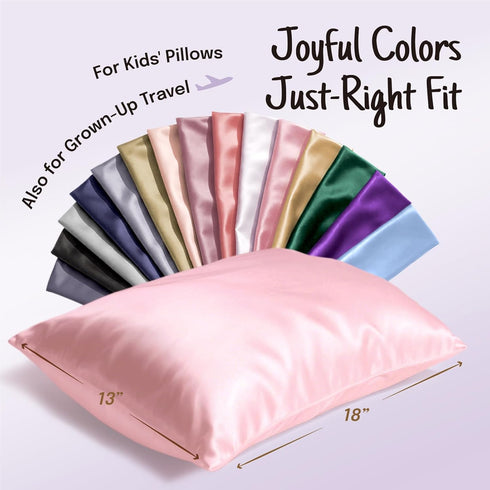 OLESILK 100% Mulberry Silk Toddler Pillowcase for Hair and Skin, Both Sides 19 Momme Pure Natural Silk Travel Pillow Cases with Hidden Zipper, 13"...