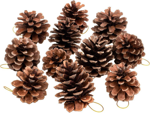 Whaline 25 Pcs 1.6-2.4 Inches Christmas Pine Cones Decoration with String, Natural Rustic Pinecones Bulk Ornaments for Crafting for Home Accent De...
