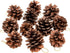 Whaline 25 Pcs 1.6-2.4 Inches Christmas Pine Cones Decoration with String, Natural Rustic Pinecones Bulk Ornaments for Crafting for Home Accent De...