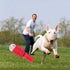 Dog Toys for Chewers Indestructible, Durable Dog Toys for Aggressive Interactive Dog Toys Squeaky Soft and Safe Teeth Cleaning Small Medium Dogs a...